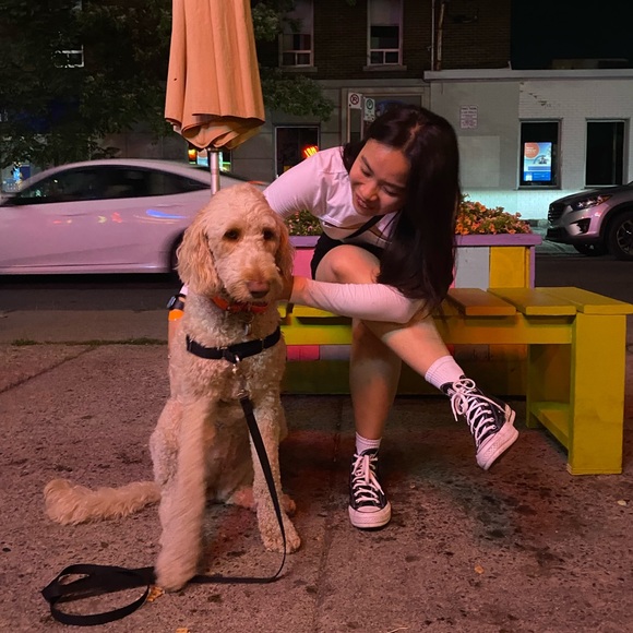 Meet your Posher, Katie - Picture 1 of 1